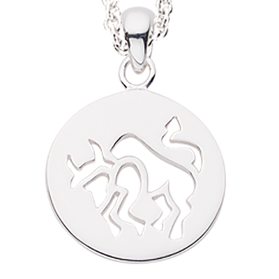 STJERNETEGN TYR SØLV M/KÆDE