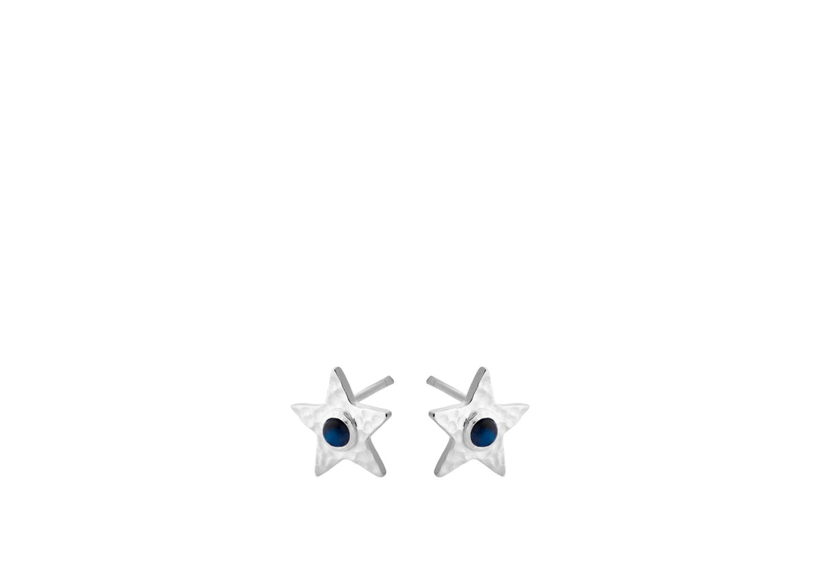 TWINKLING STAR EARSTICKS