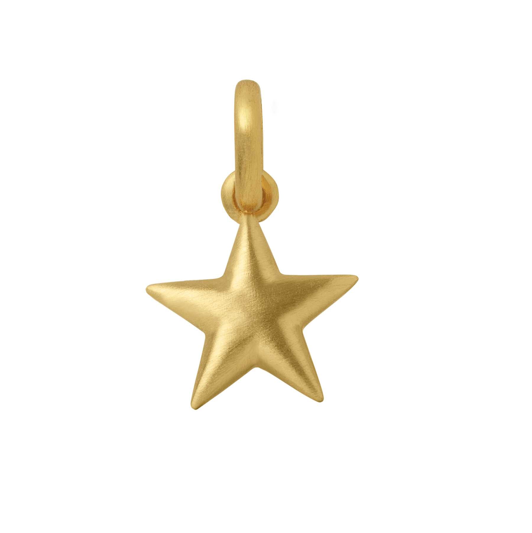 SØLV/FG VEDHÆNG STAR