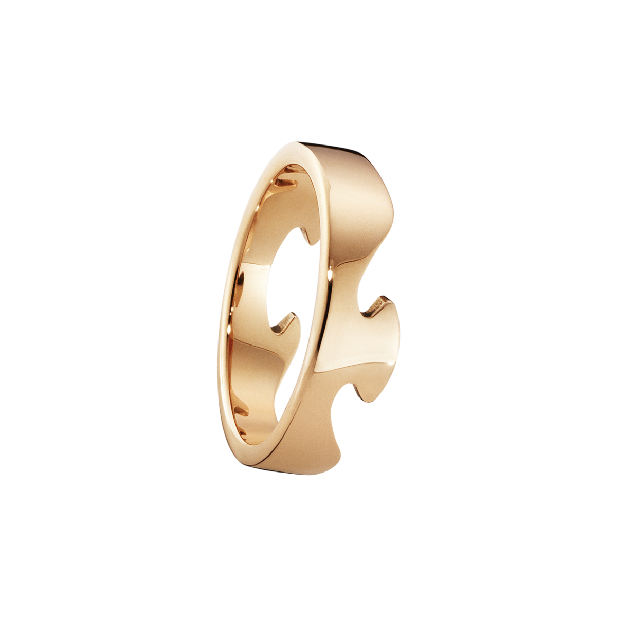 FUSION ENDE RING 1367C RG 48