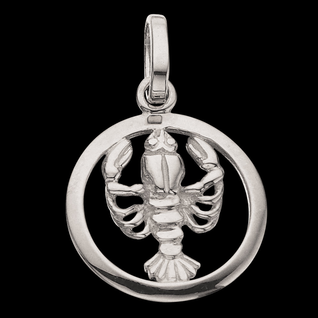 STJERNETEGN KREBS SØLV