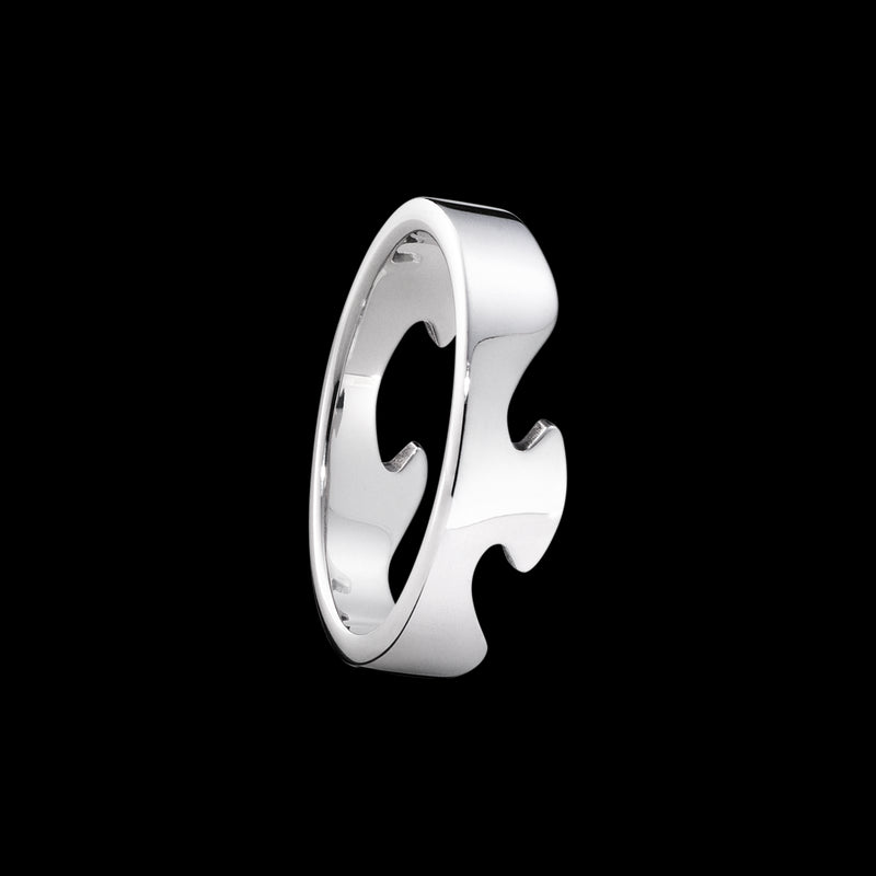 FUSION ENDE RING 1367A HG 48