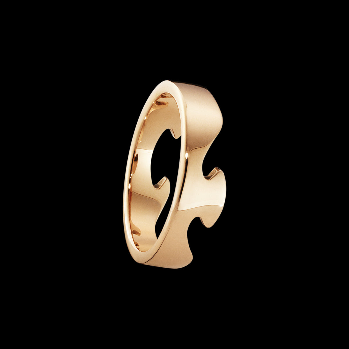 FUSION ENDE RING 1367C RG 48