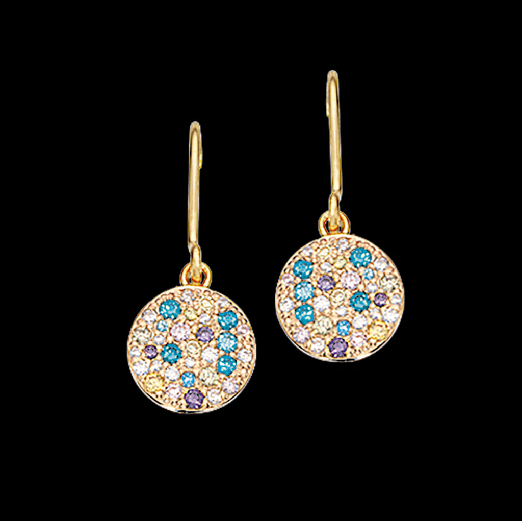 SØLV FG ØREHÆNGER M.MIX ZIR