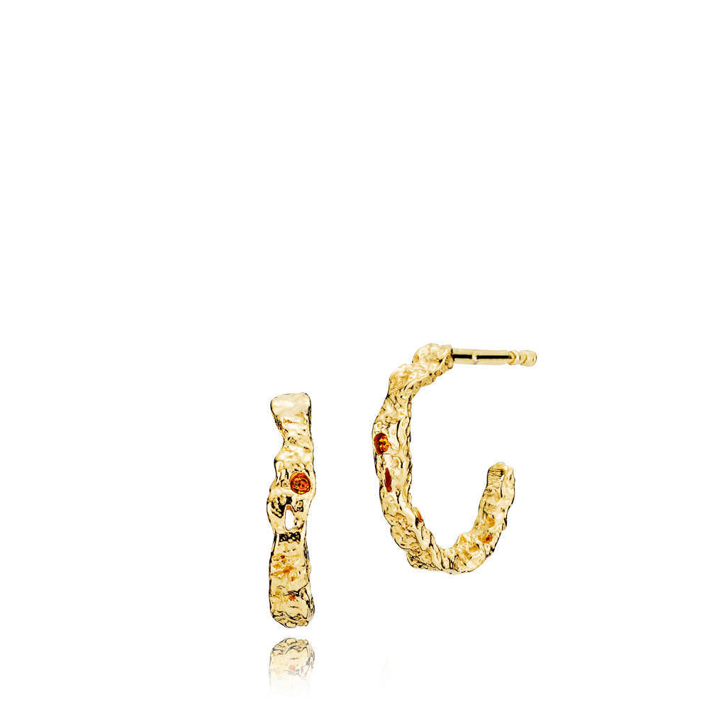 Silke X Forgyldt Sølv Øreringe fra Sistie med Rav