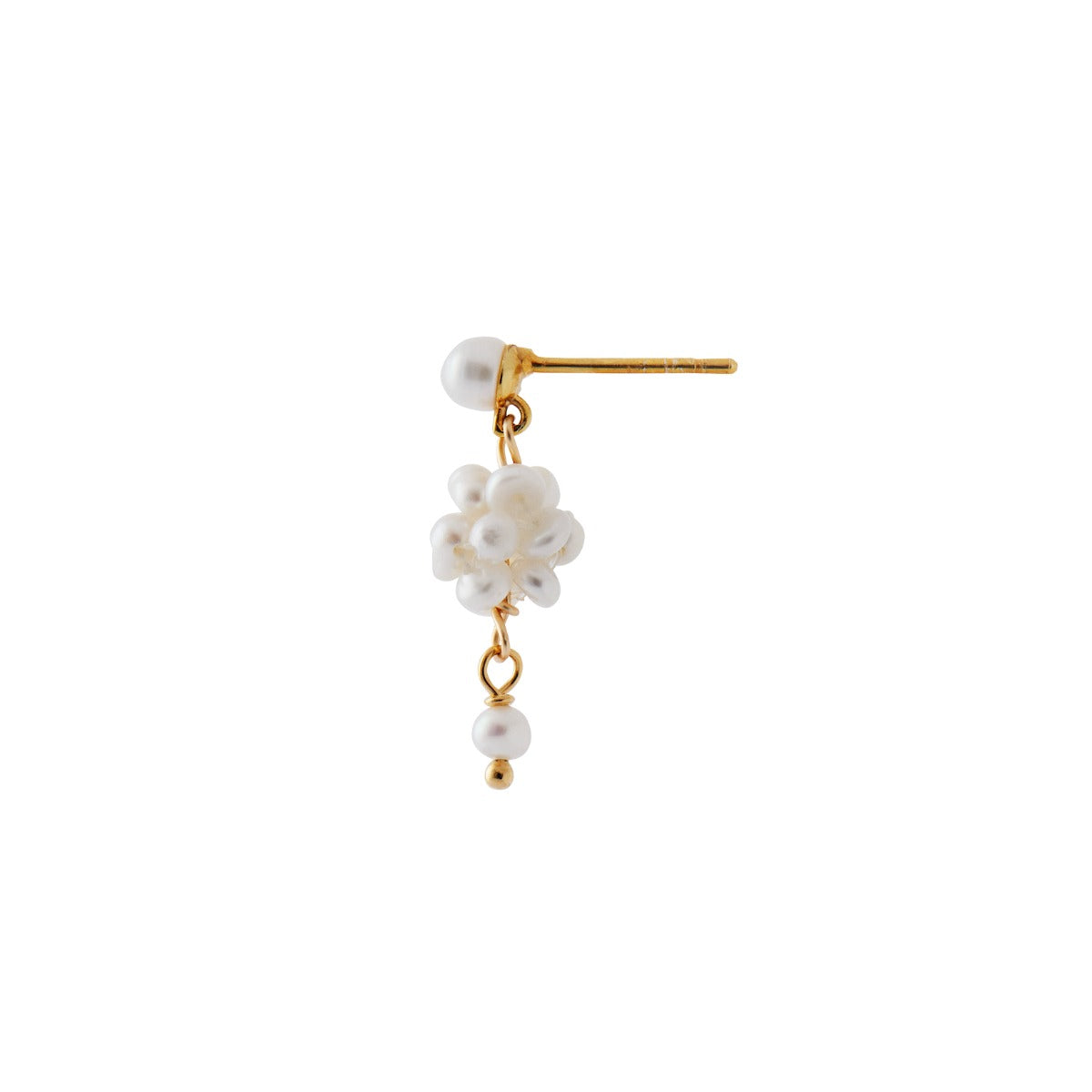 PETIT CLUSTER BERRIES EARRING -