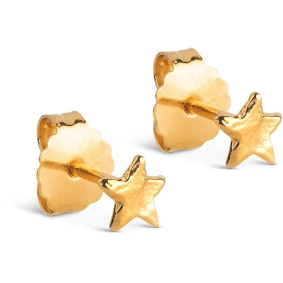 Enamel Energy Star Stud Øreringe i Forgyldt Sølv