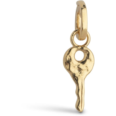 Enamel Magic Key charm i 18k forgyldt sterlingsølv C028G