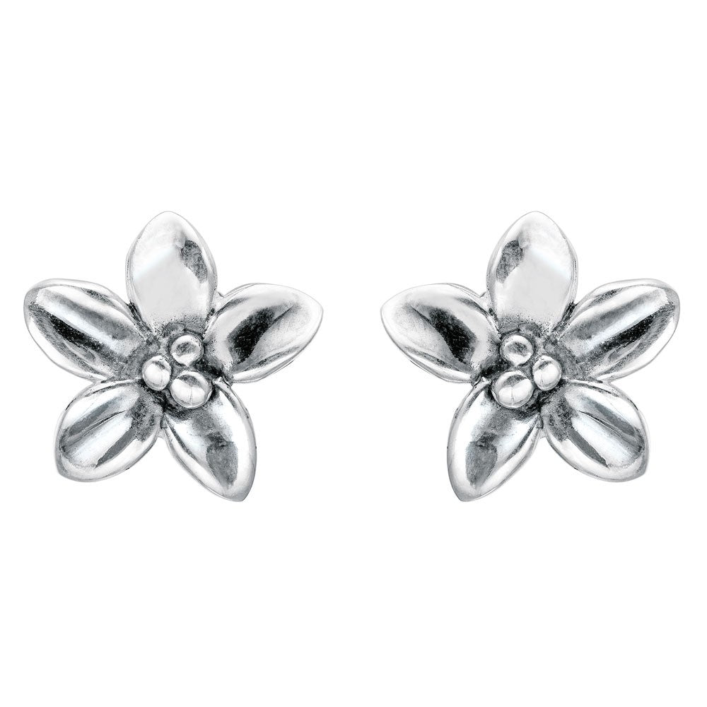 SØLV ØRESTIK ANTIK OX