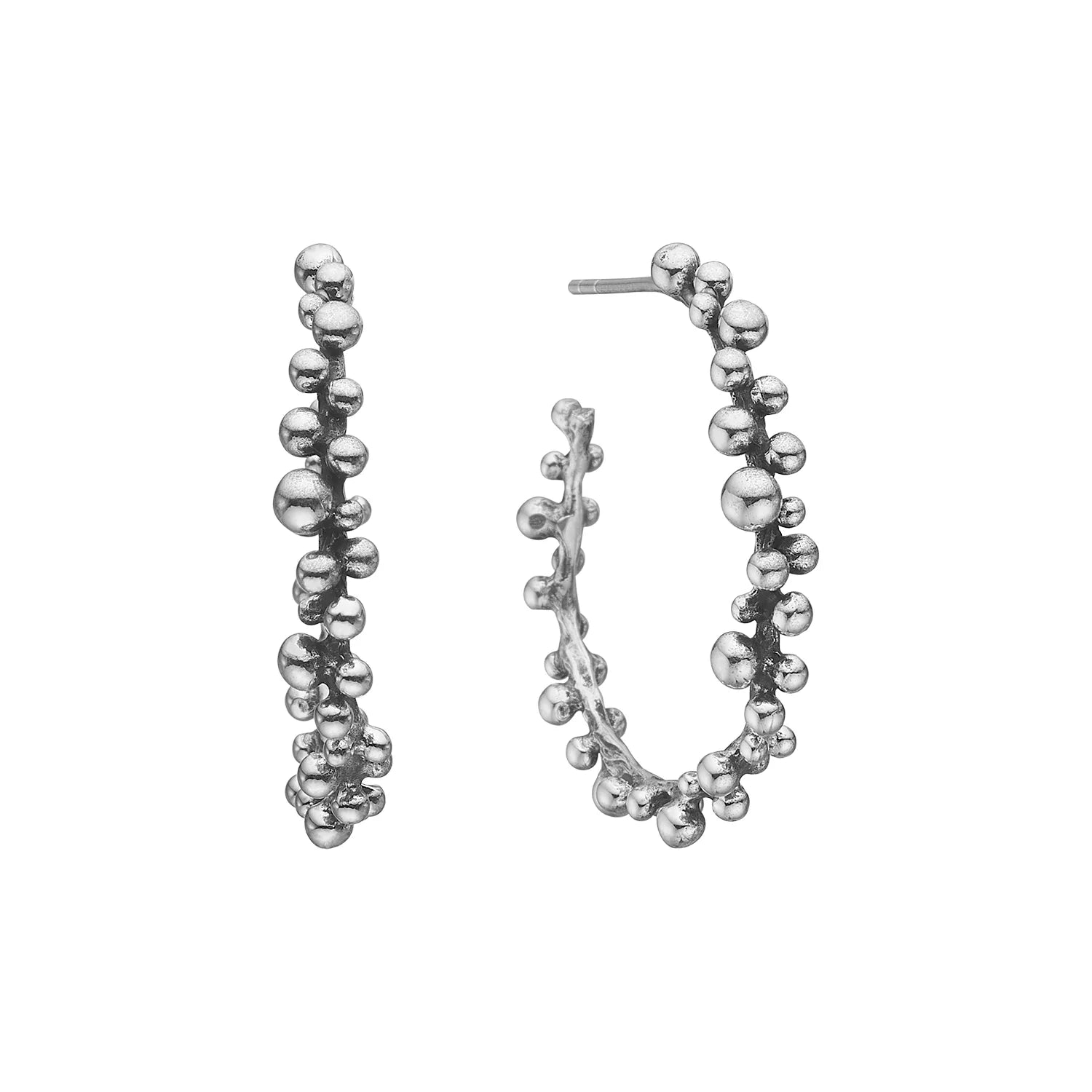 EARS CREOL ROSE BUDS SILVER Ø30