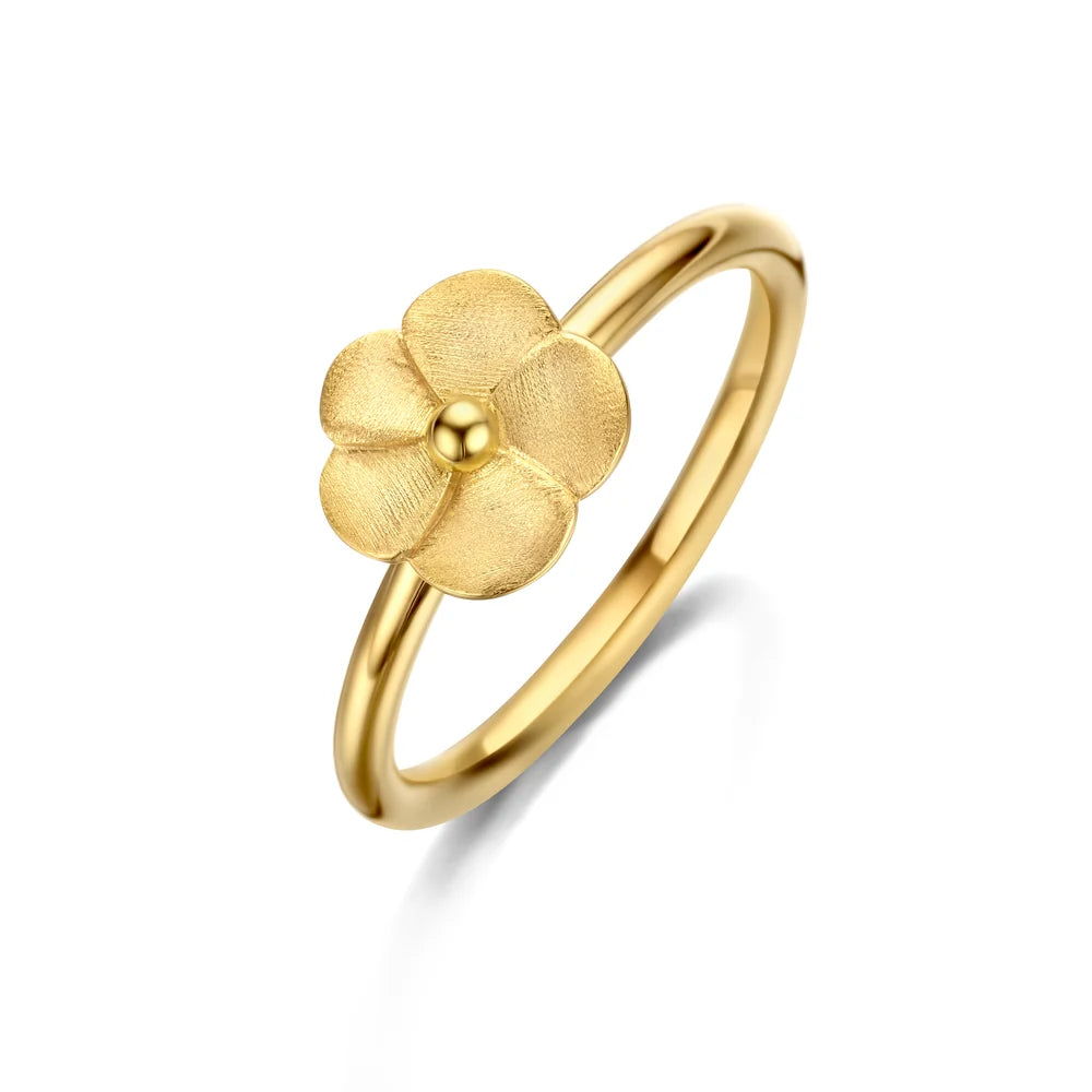 BLOOM RING GP