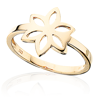 RING 8 KT.