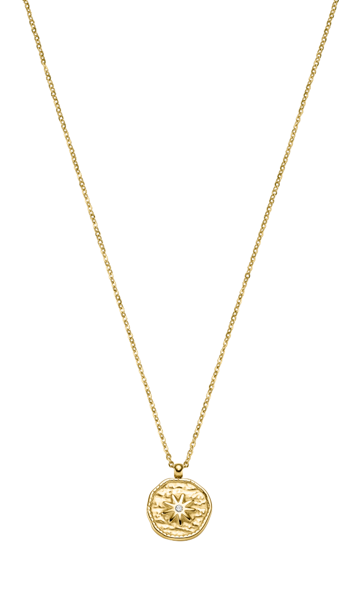 STÅL HALSKÆDE FORG.