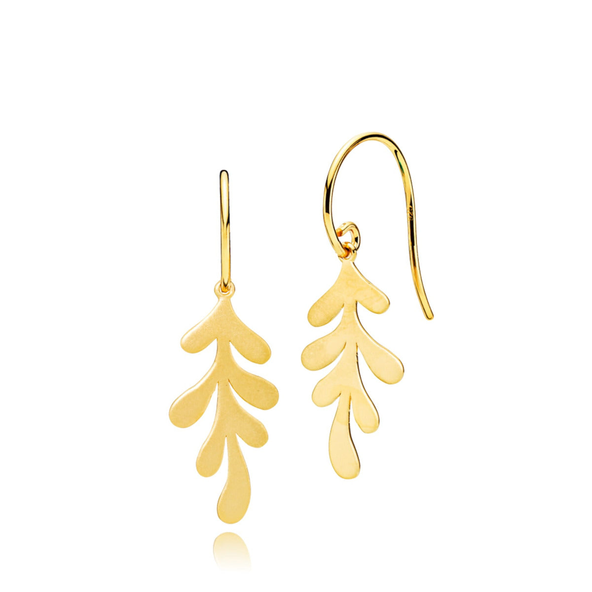 Izabel Camille Oaky Øreringe i Forgyldt Sølv A1848G