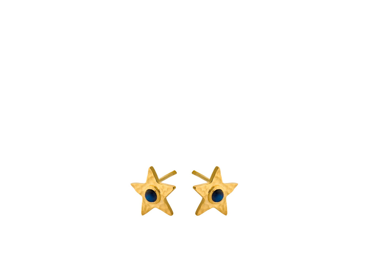 TWINKLING STAR EARSTICKS