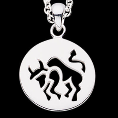 STJERNETEGN TYR SØLV M/KÆDE