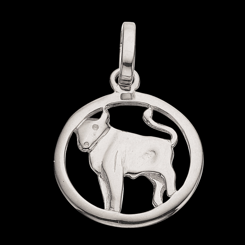 STJERNETEGN TYR SØLV