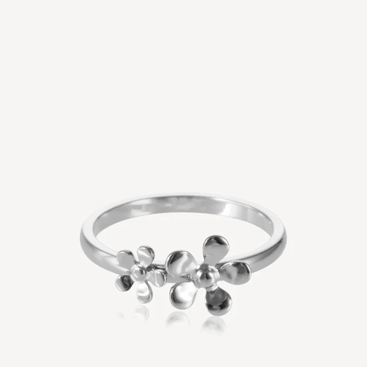 CELESTE - RING STÅL