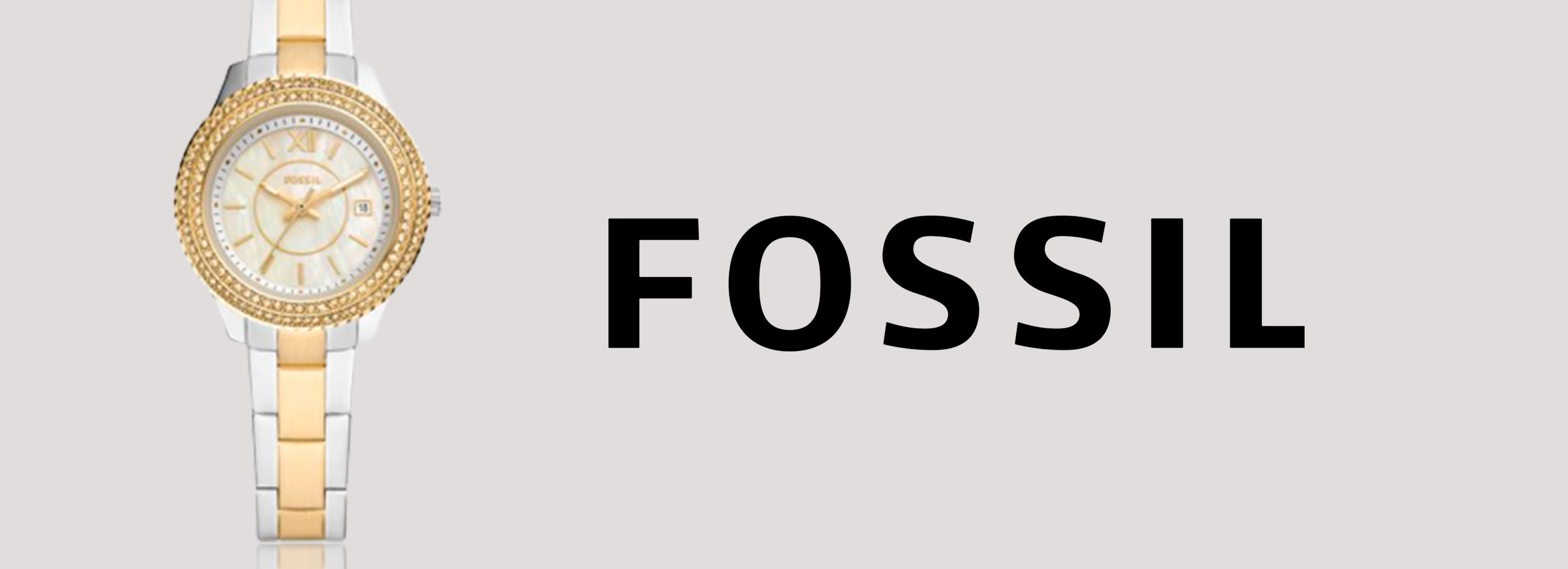 Fossil Fossil