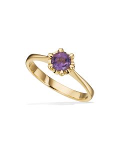 Scrouples 8 Karat Guld Ring med Ametyst 714983